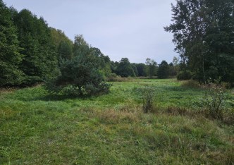 działka na sprzedaż - Lyski, Sumina, Dworcowa