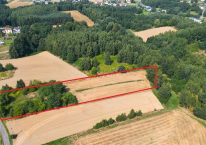 działka na sprzedaż - Mszana, Gogołowa